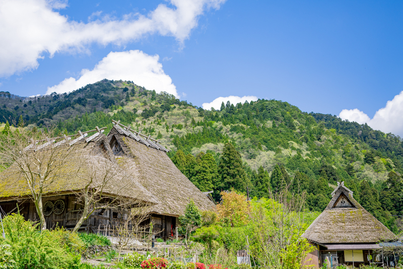 藁葺き屋根の絵画 美山町の春 F3号 油絵 画家 額入 山麓