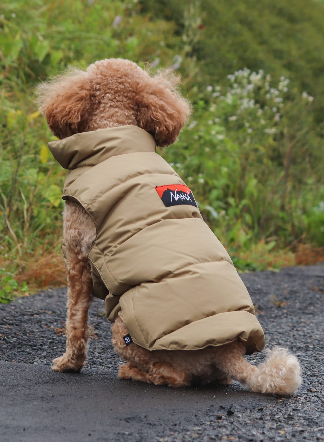 DOG DOWN JACKET - MOONLOID EXCLUSIVE|別注 ドッグダウンジャケット