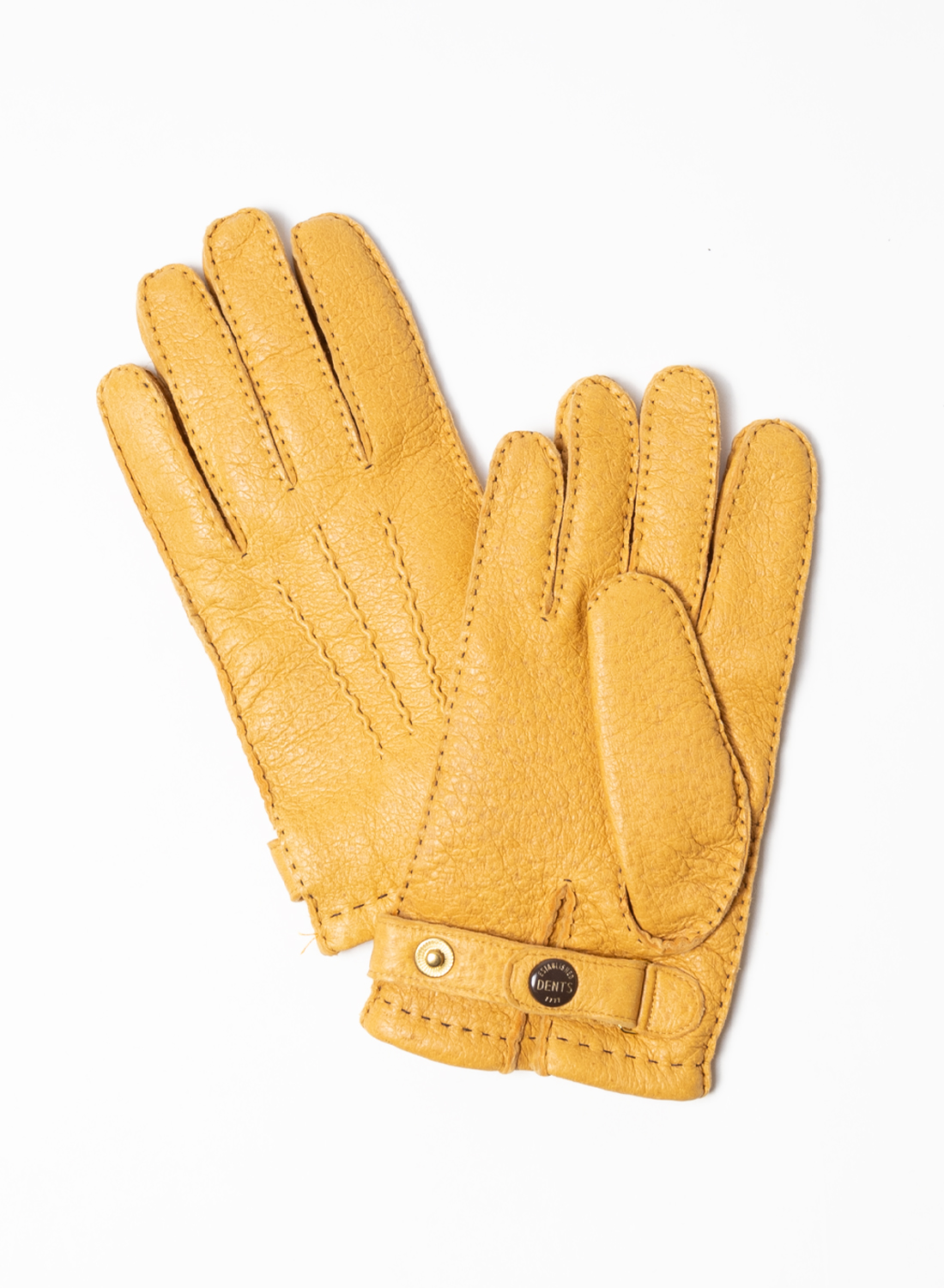 DENTS ペッカリーグローブ（カシミヤライニング）