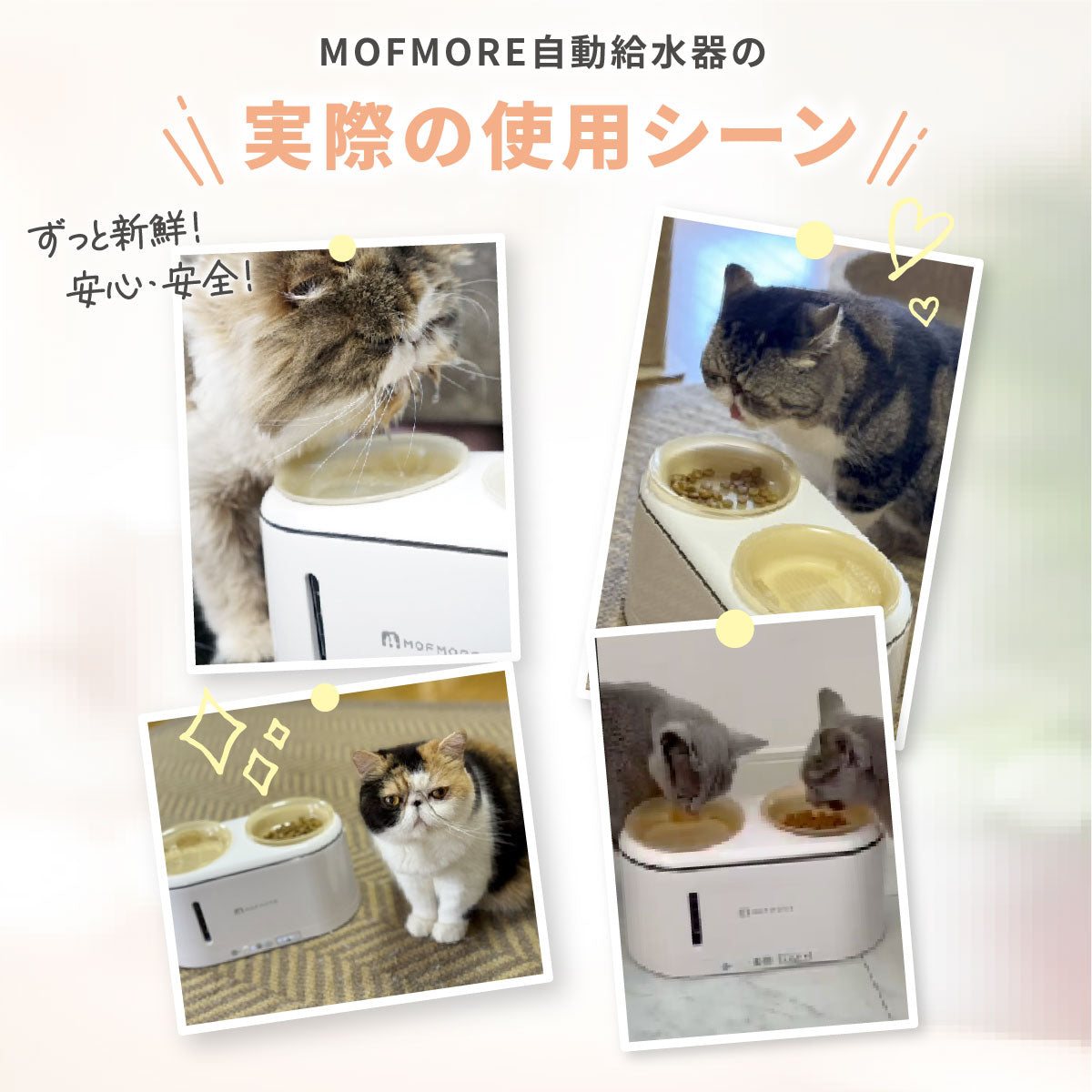 MOFMORE 2in1ウォーターディスペンサー - ゴハンもあげられる自動給水器 -