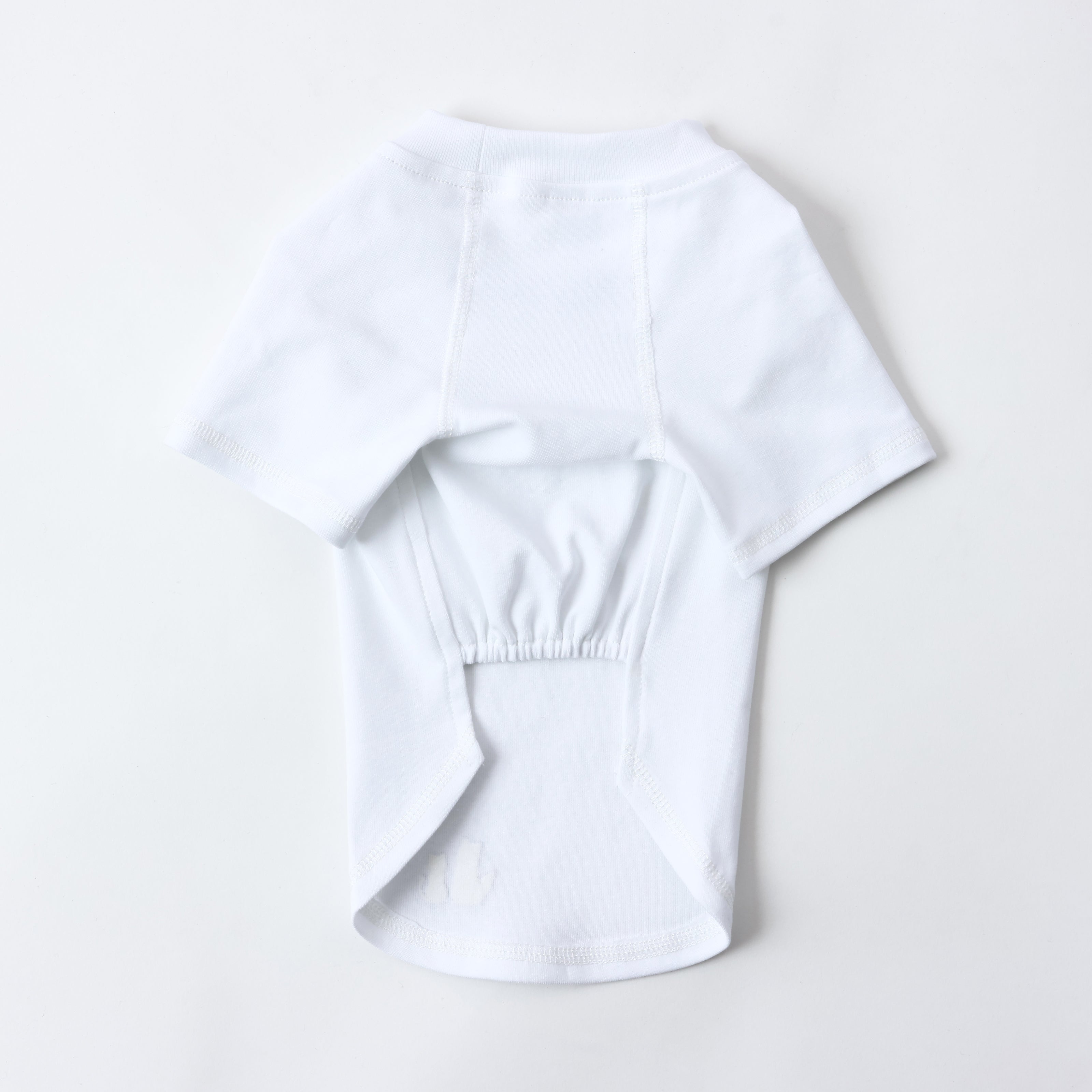 MOLUYUKのプレミアムスキンケア Tシャツ for pets – MOLUYUKA