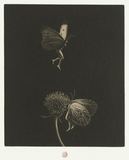 作品 ┃ 東京都現代美術館コレクション検索