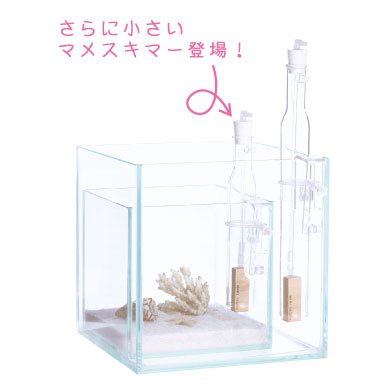 マメデザイン】マメスキマー3 ミニ – MOTOBU AQUARIUM