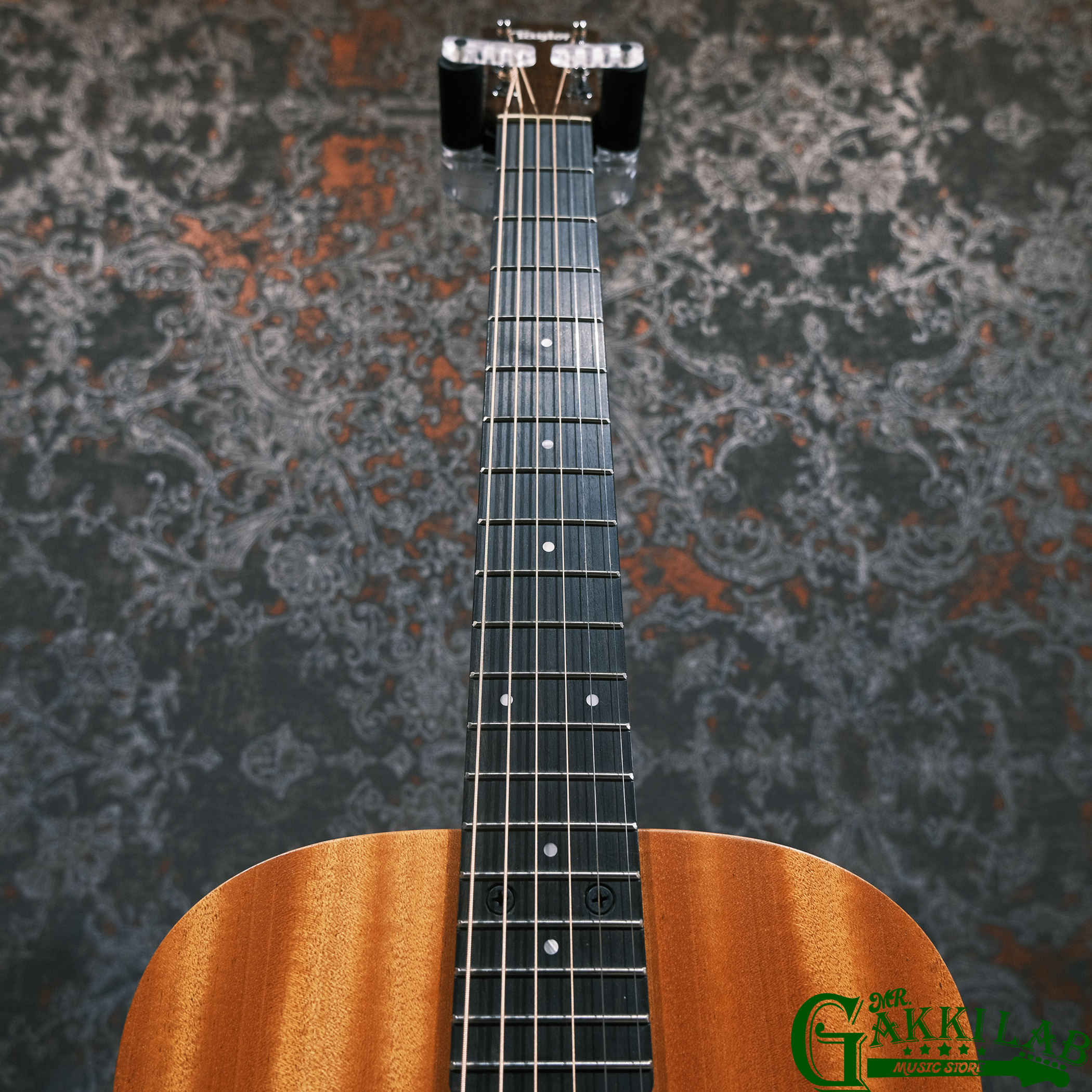Taylor Baby Taylor Mahogany BT2 (Baby T)【ミニギター】 | 札幌の