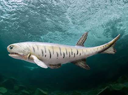 生命の扉 | 第3話 魚達の上陸作戦 一億数千