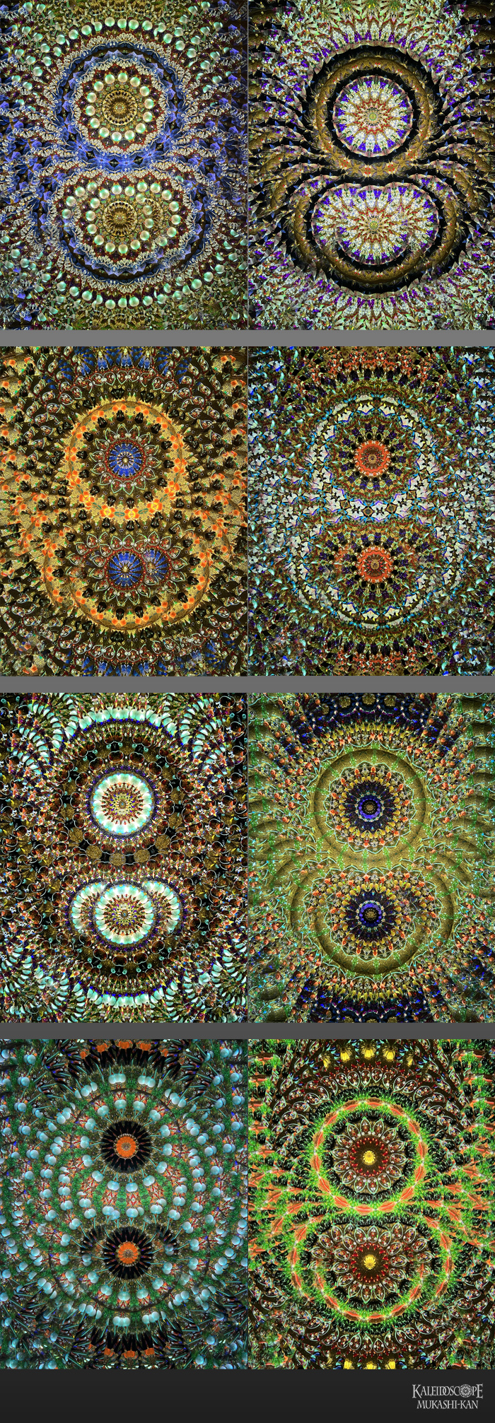 オイルチェンバースコープ]Handheld_Maple : Mark & Carole Reynolds