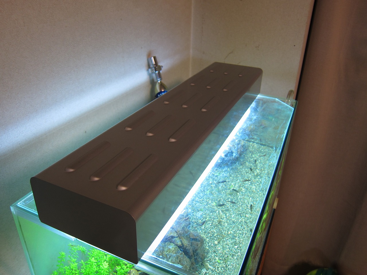 個人的 アクアリウム用品レビュー】その1 テクニカインバーターライト