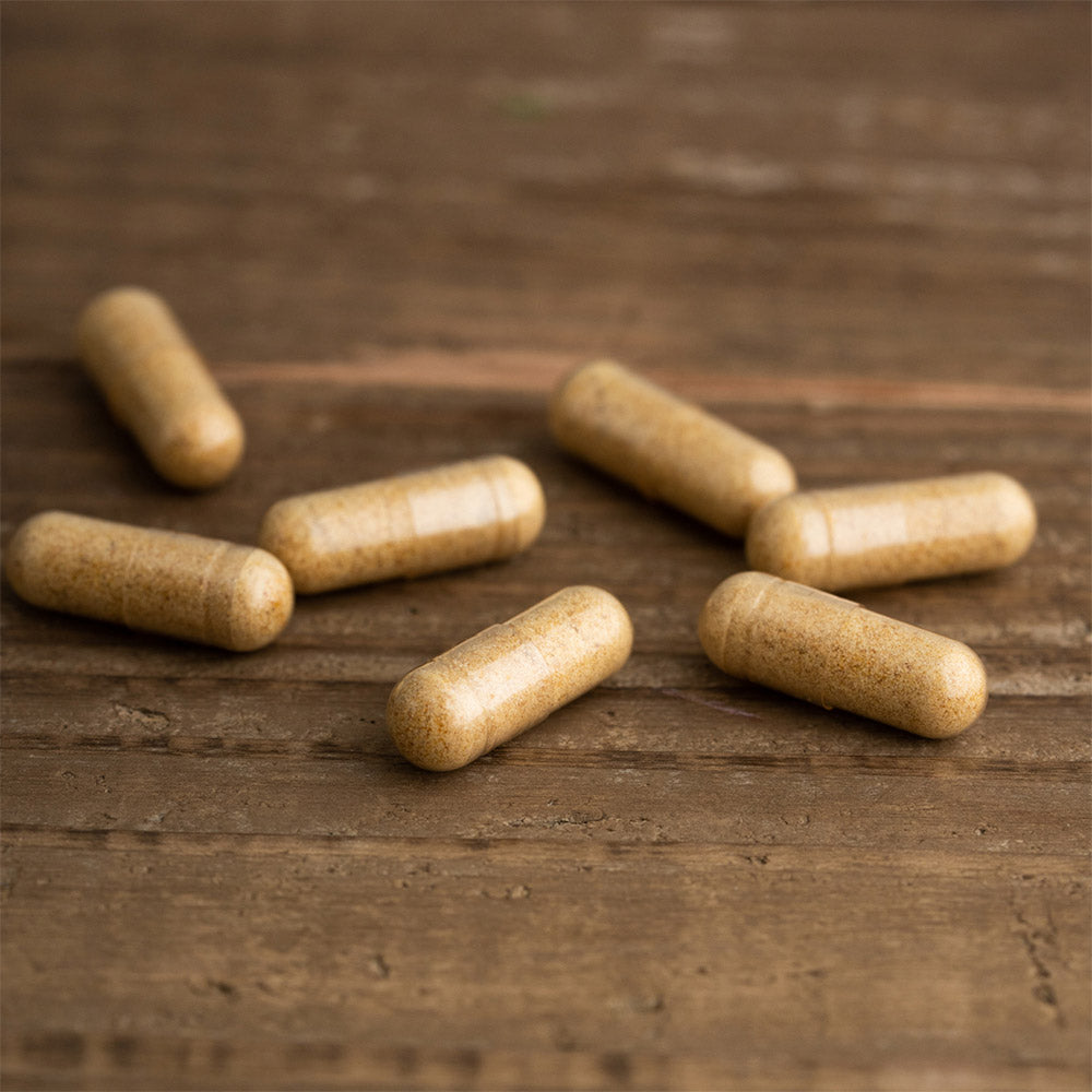 免疫力・健康維持に 【コルディG カプセル 16粒入り】 日本製 冬虫夏草