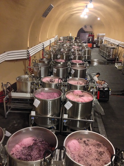 限定品】ピノ・ノワール アルパイン・ヴィンヤード ヒル・サイド 2021