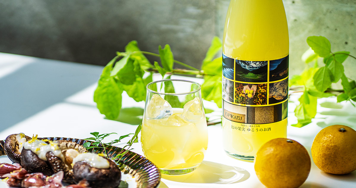 ☆Yuka様11.12月期限☆ お酒まとめ売り49本+おまけ1本 ☆Yuka様11.12月