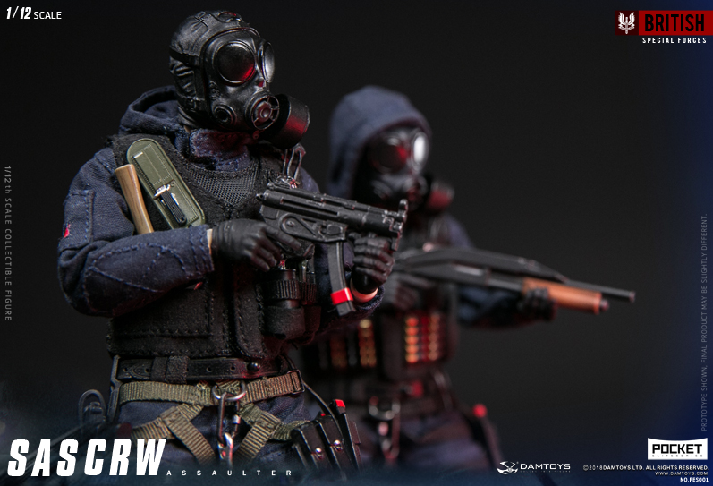 DAMTOYS 1/12 POCKET ELITE SERIES SAS CRW ASSAULTER | 株式会社ノーツ