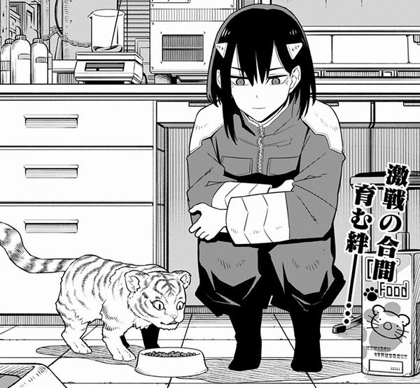 怪獣8号 伐虎】セット 優勝PR PR+ 怪獣の殲滅 亜白ミナ Amazon