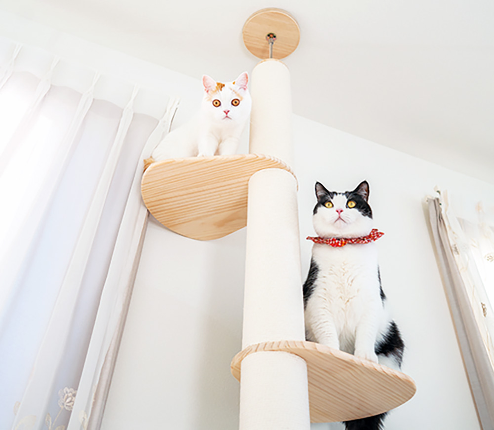 すみずみまで猫と人にやさしいキャットタワー