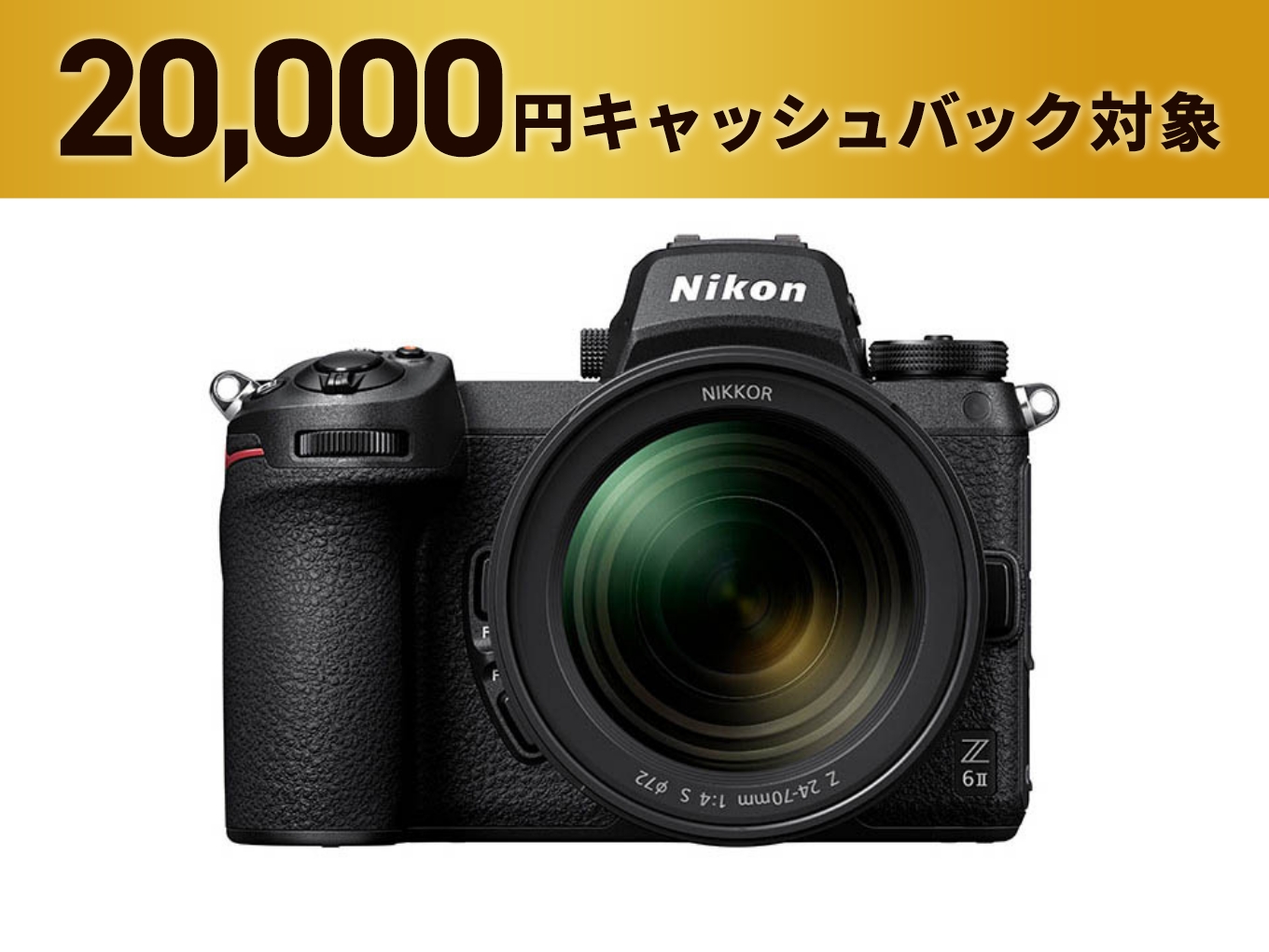 Nikon Z6 ミラーレス一眼カメラ ボディ バッテリー3個 Nikon Z6