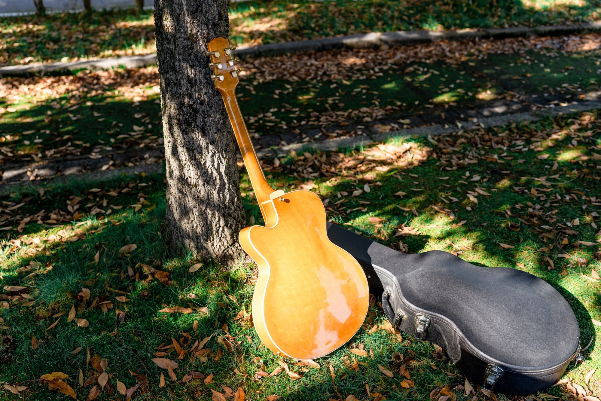 フルアコ 日本製 海外輸出モデル Epiphone NVJ-NT フルアコ 日本製