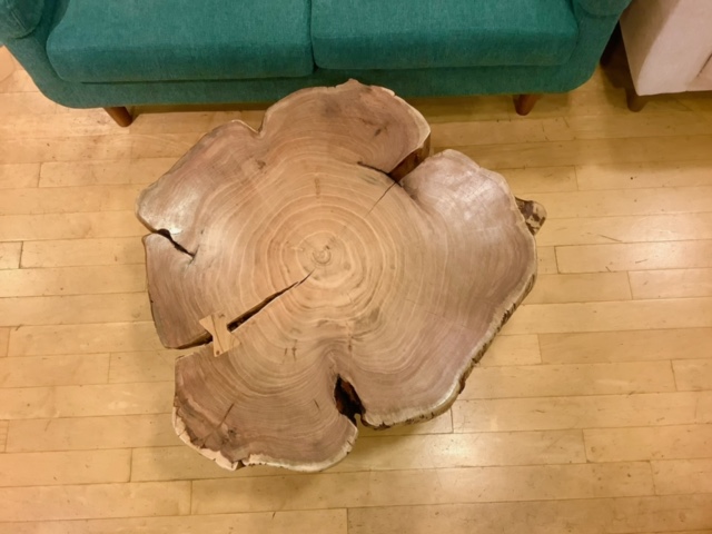 ローテーブルのご紹介】唯一無二の切り株ローテーブル - スタッフブログ