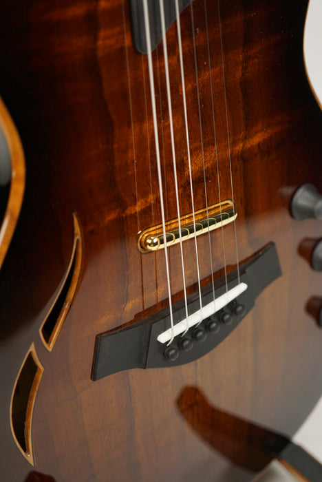 Taylor T5z Custom Koa — Northern Lights Music