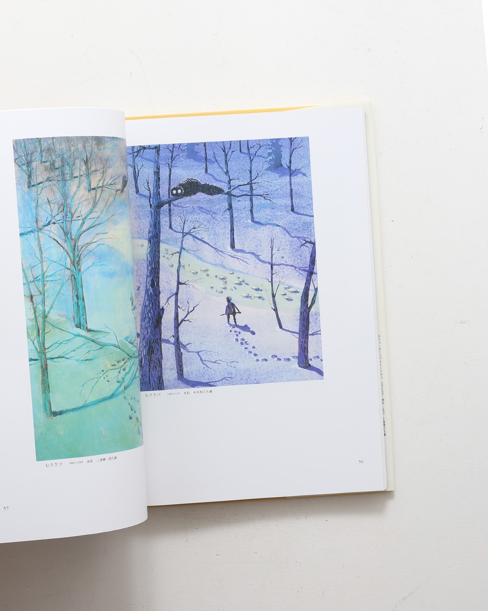 辻まこと全画集 | 串田孫一、宇佐見英治、矢内原伊作 ほか | nostos