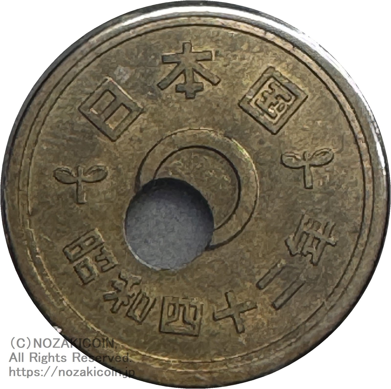 IMG_8954_1600x.jpg?v=1726721921