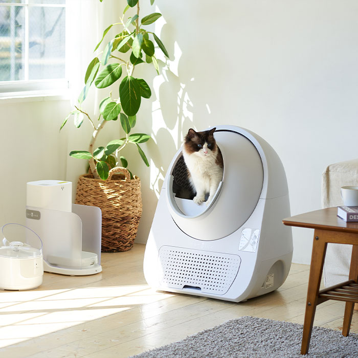 自動ネコトイレ CATLINK SCOOPER YOUNG | 株式会社オーエフティー