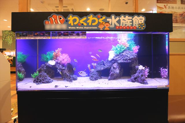 にぎやか！小さな水族館のような水槽！｜大阪アクアガーデン