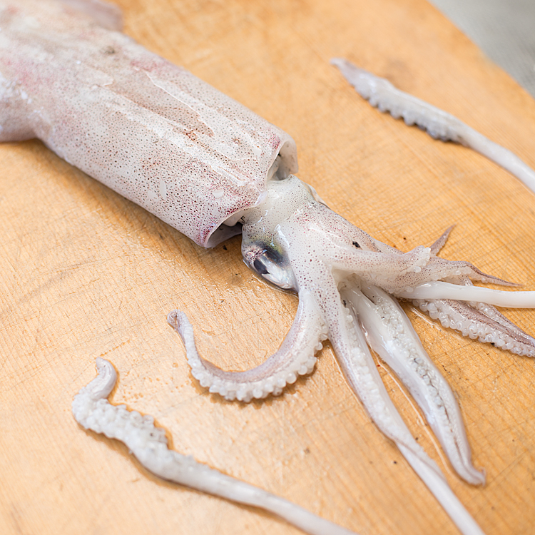 イカ（烏賊）のおろし方 | レシピサイトぷちぐる