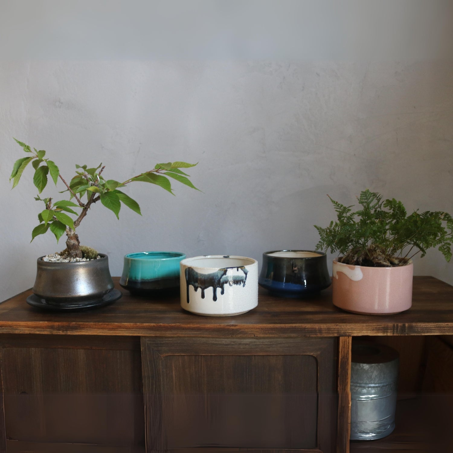 400 盆栽 盆栽鉢 植木鉢 和鉢 美功 400 盆栽 盆栽鉢 植木鉢 和鉢 美功