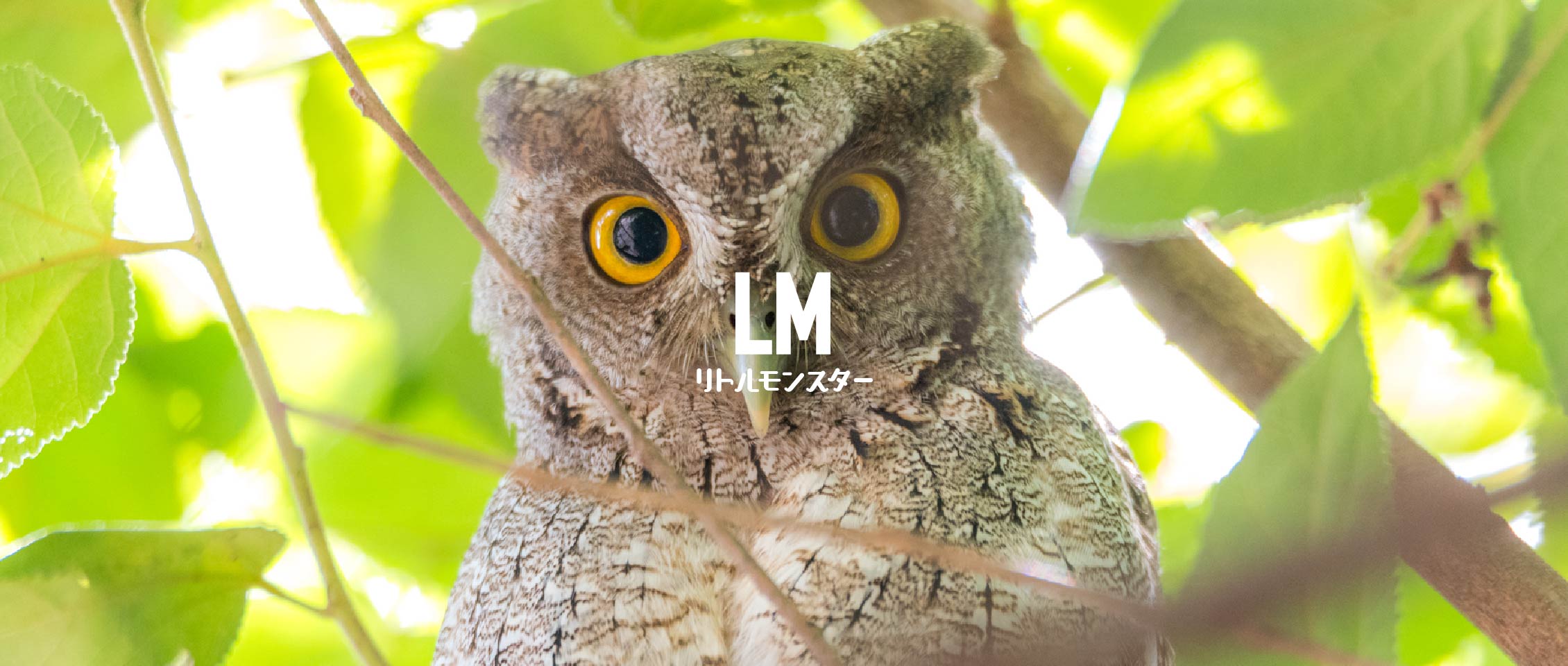 冷凍マウス冷凍ラット通販(通信販売)のリトルモンスターおおさか