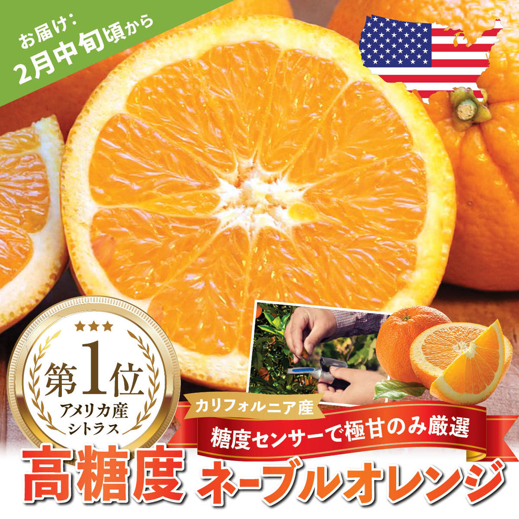 アメリカ産】高糖度ロイヤルネーブルオレンジ – oritzjapan
