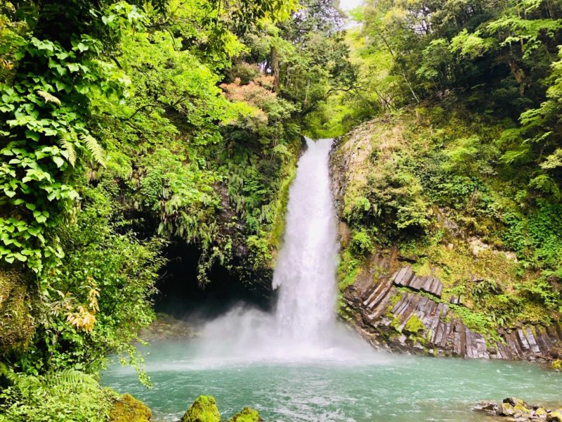 浄蓮の滝｜わさびと釣りも楽しめるマイナスイオン全開スポット