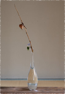 Feature | 瀬沼健太郎 | panorama