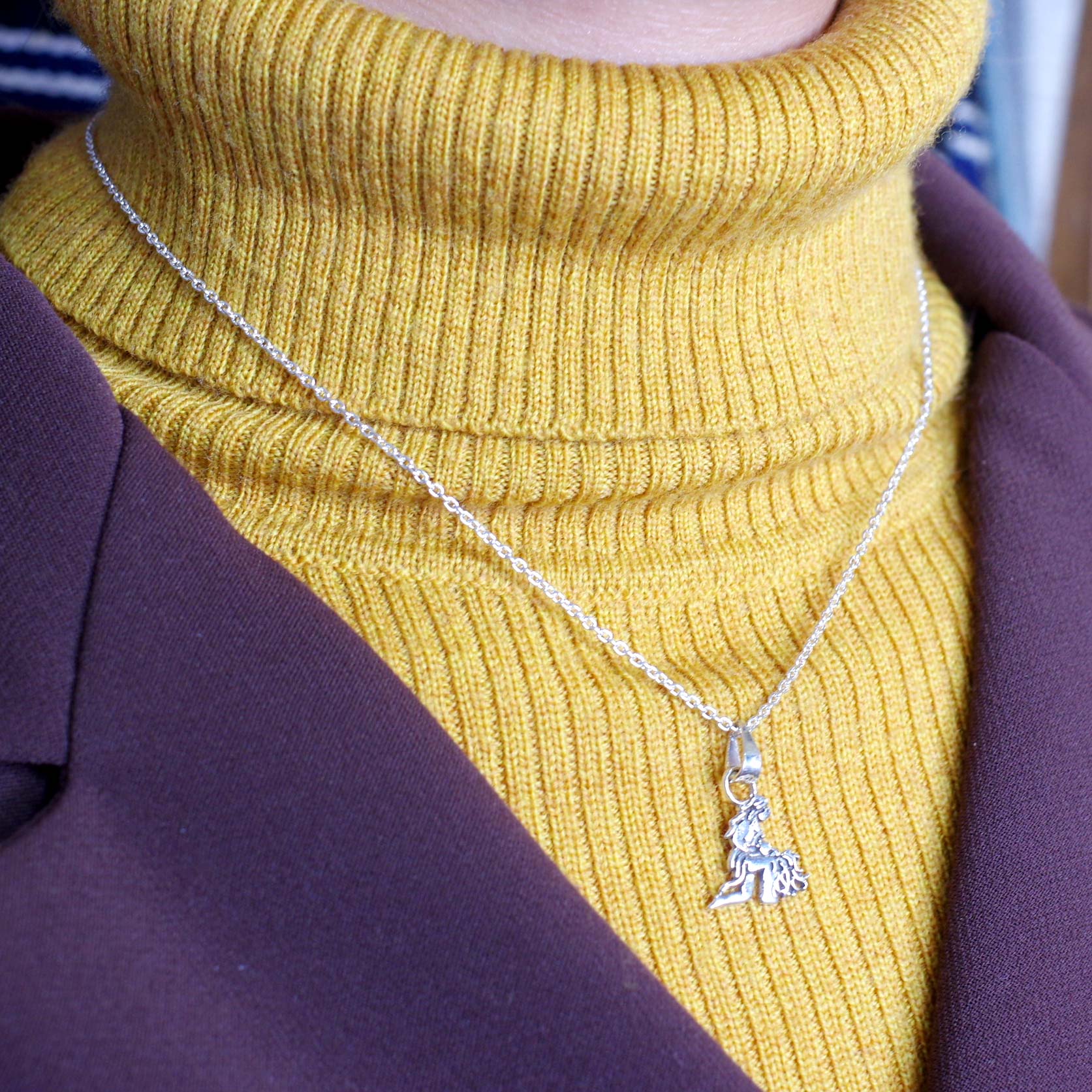 silver925☆12星座【みずがめ座】小さめペンダントトップ