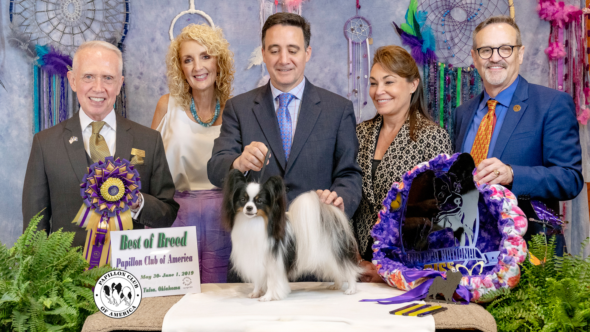 Specialty – National – 2019MAY31 & 2019JUN01 – Papillon Club of