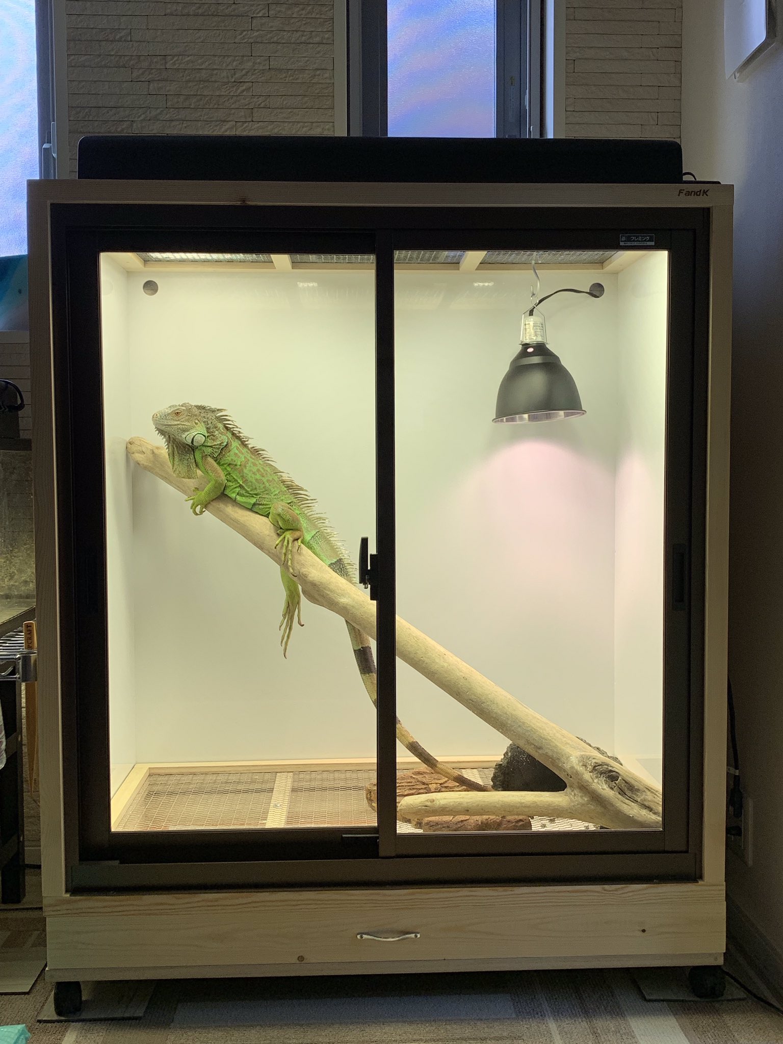 爬虫類ケージ 180×90×90 アルミサッシ仕様 アルミサッシケージ ペット