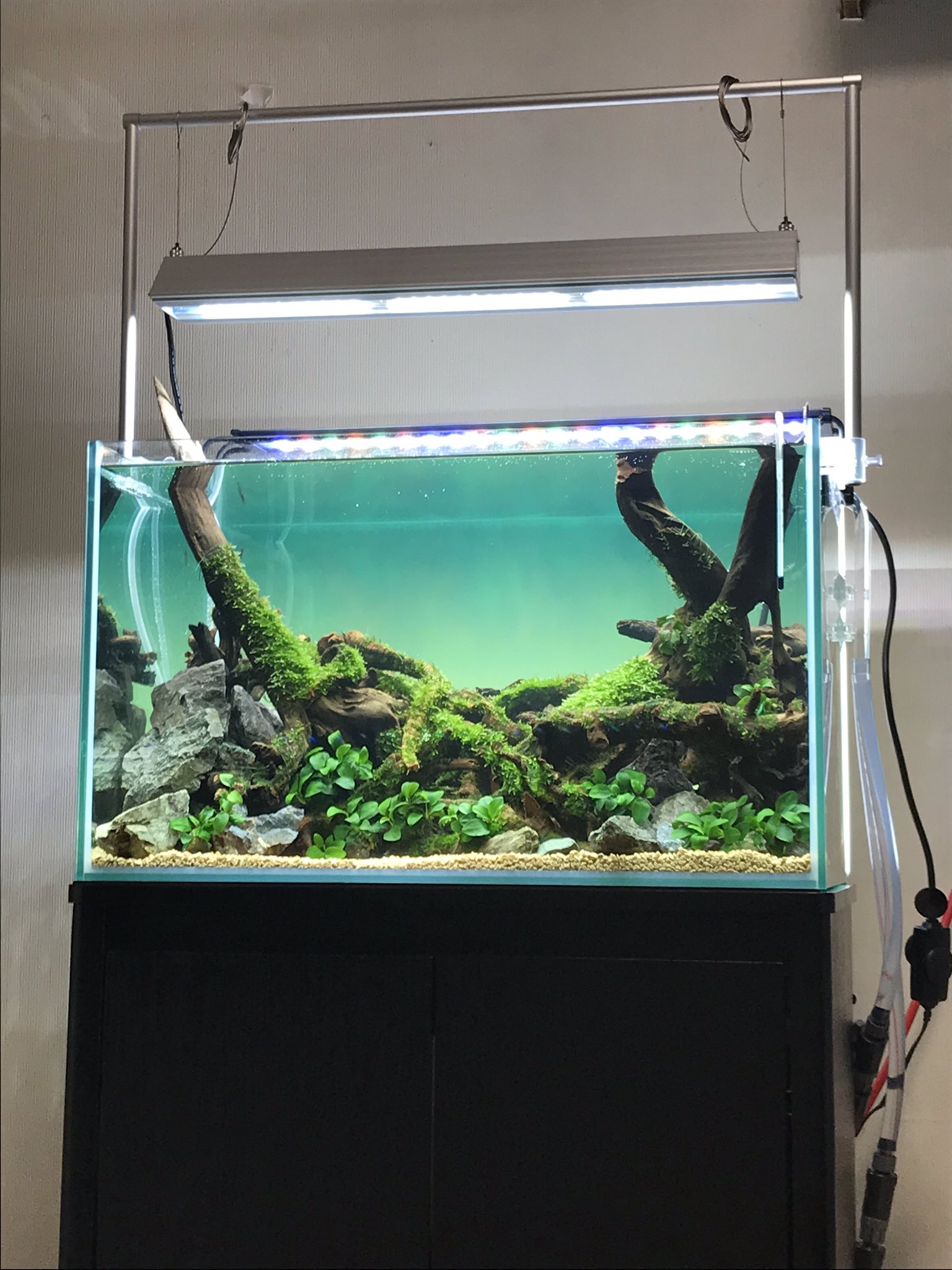 ADA ライトスクリーン 60 【公式通販】