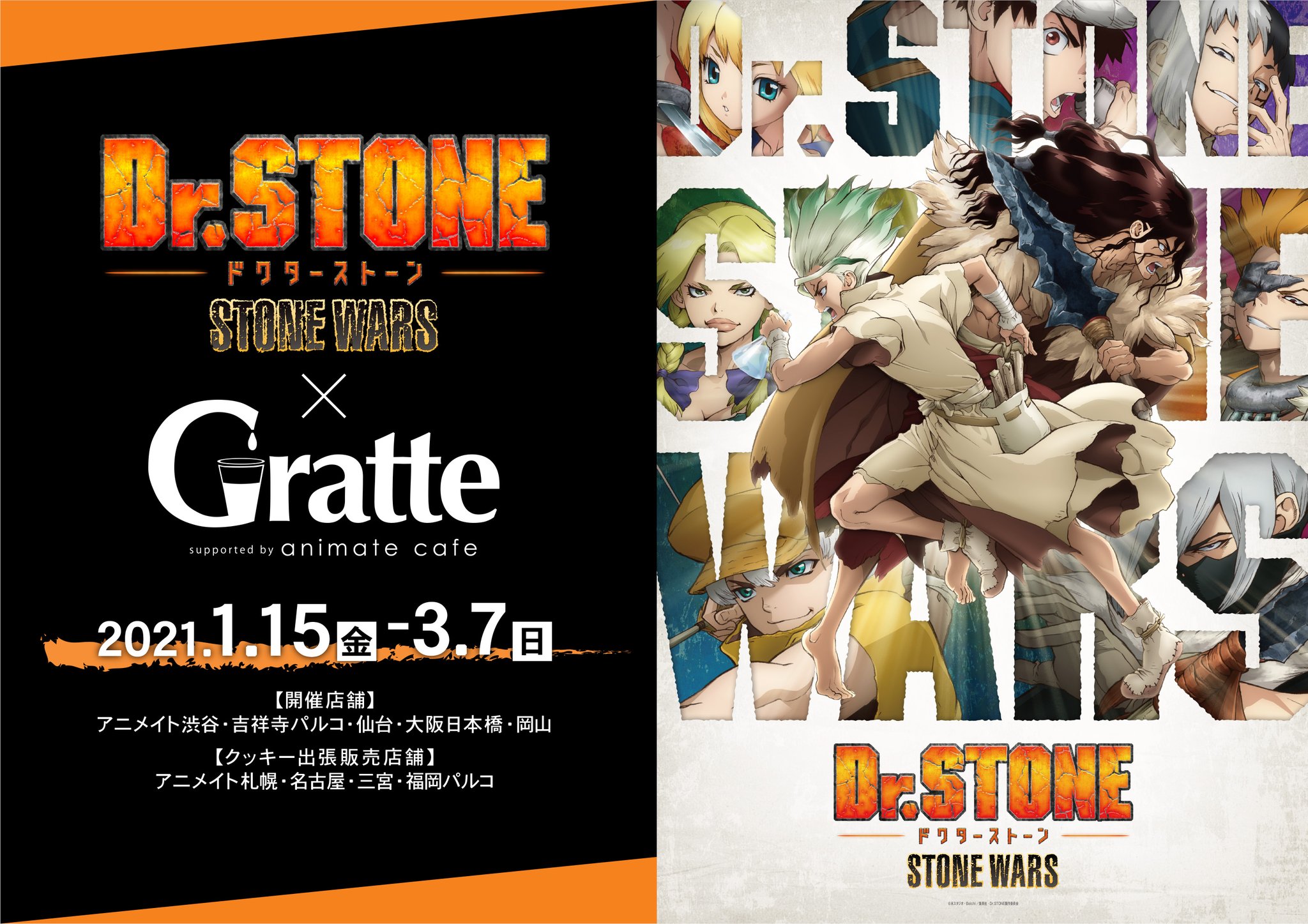 Dr.STONE ドクターストーン アニメイトカフェ 缶バッジ 石神千空 10個