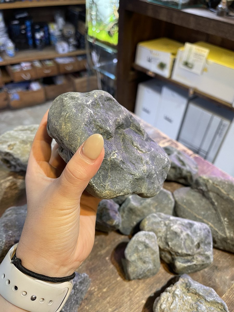 ADA新レイアウト素材 ジャグレストーン 穴空き凹凸があるのがジャグレ