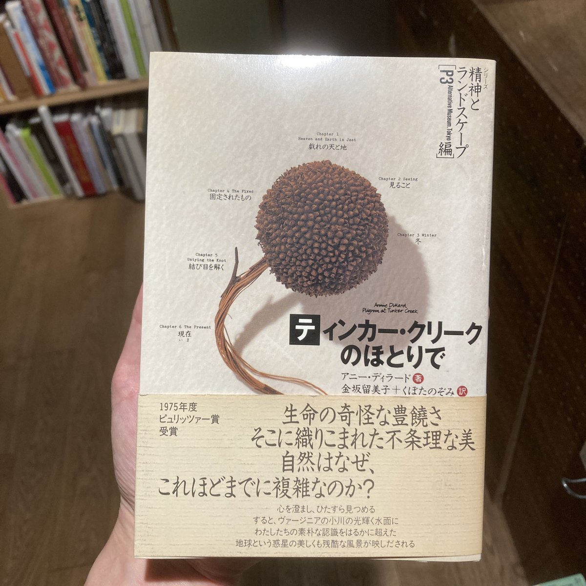 ティンカー・クリークのほとりで ティンカー・クリークのほとりで