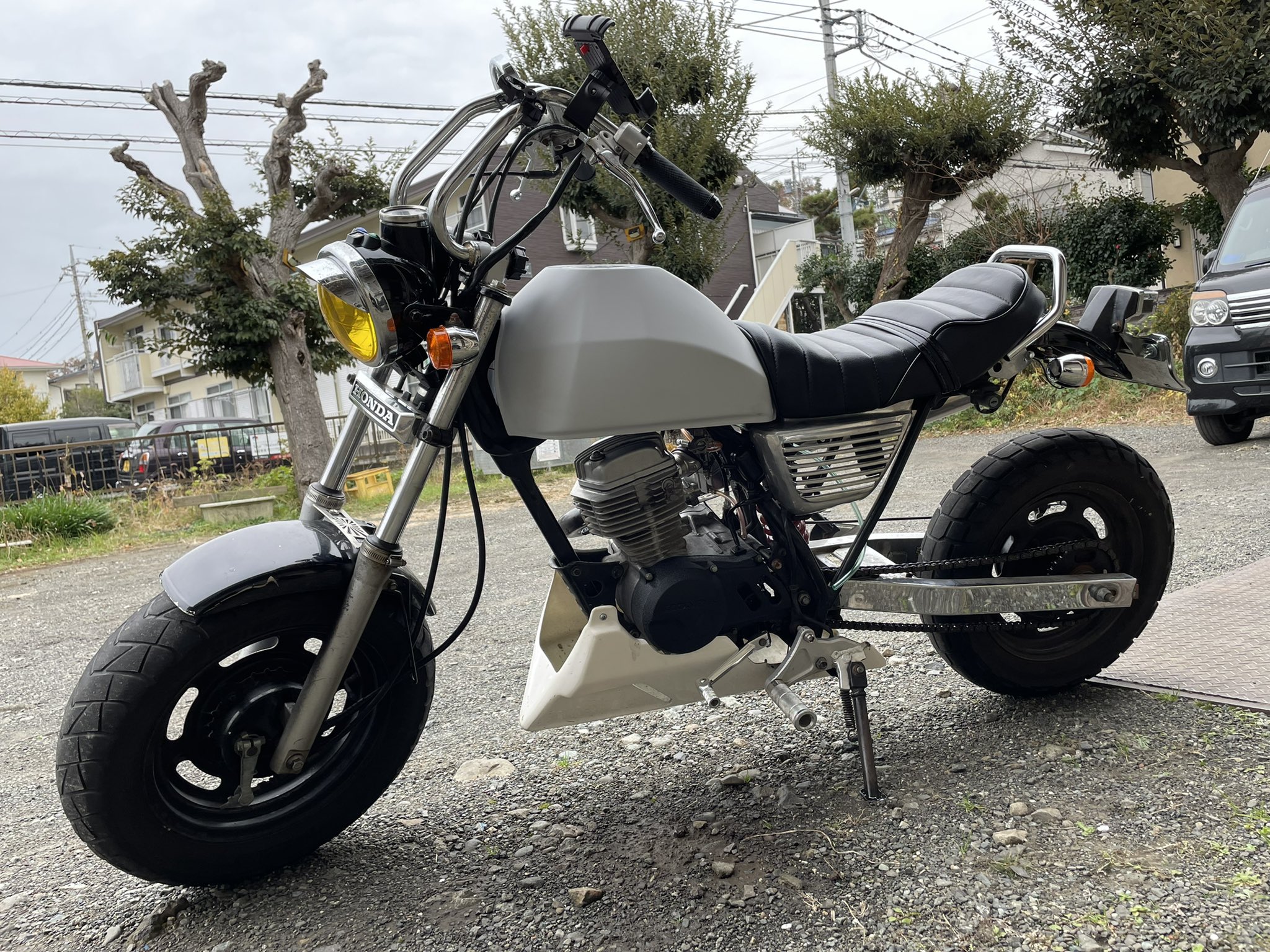 エイプ ビックタンク しおん on X: 