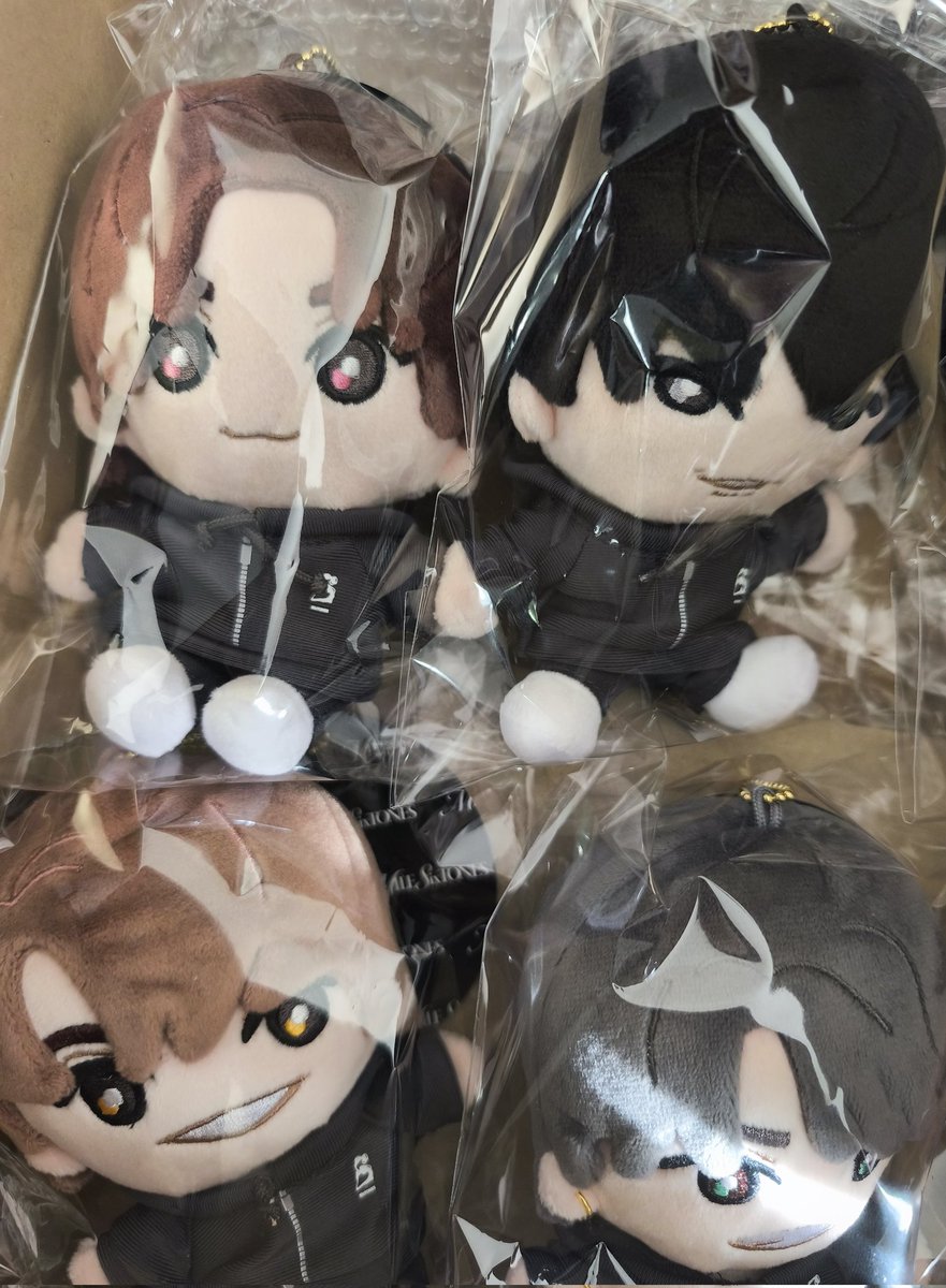 うちにもSixTONESのぬいぐるみが届いたが、京本さんと松村北斗が手を