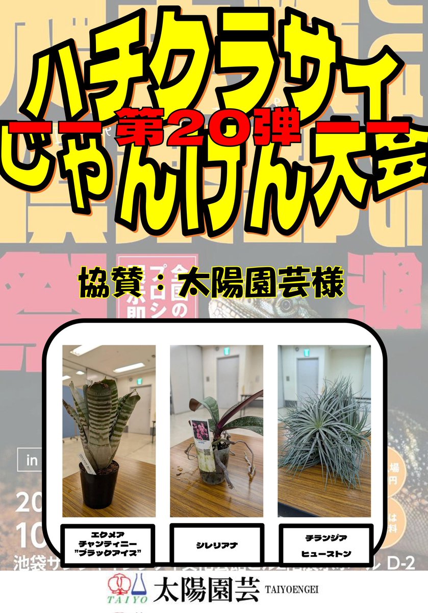 はきちゃん】爬虫類ケージ×5 30×20×15 フォロ割 はきちゃん】爬虫類