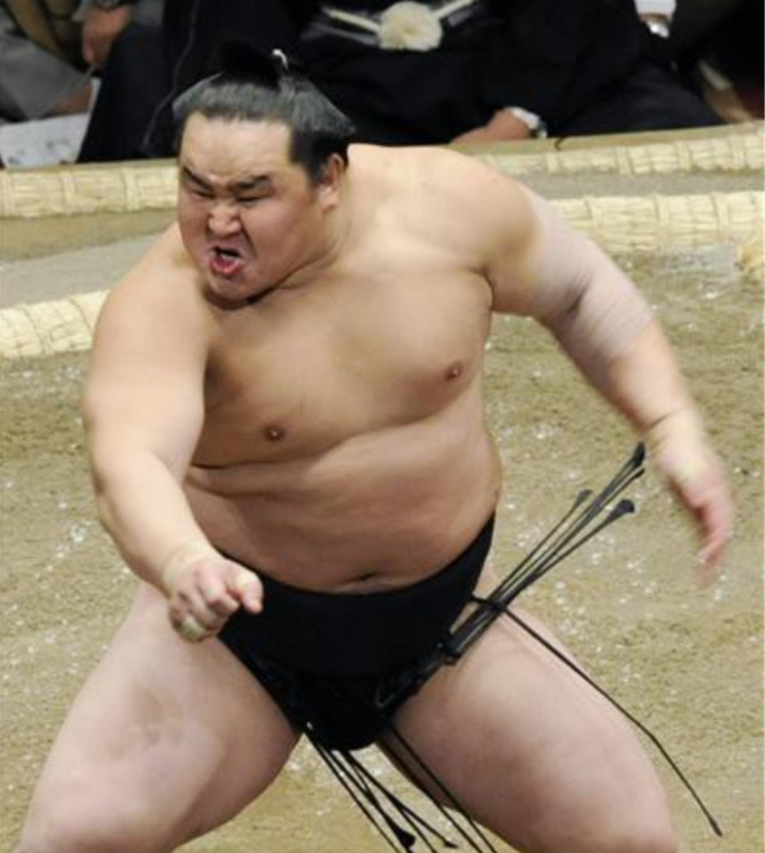 新発売】 朝青龍 日本相撲協会公式サイト - 歴代横綱 - 工芸品 - 工芸品