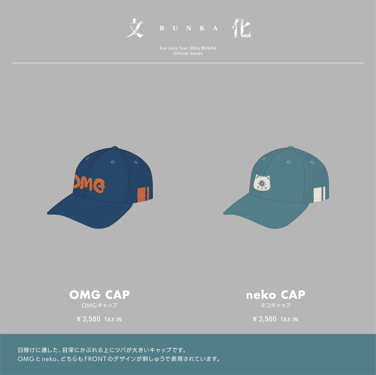 Eve Asia Tour 2024 追加公演「文化」グッズ 🌿 🔹 no.12 MESH T