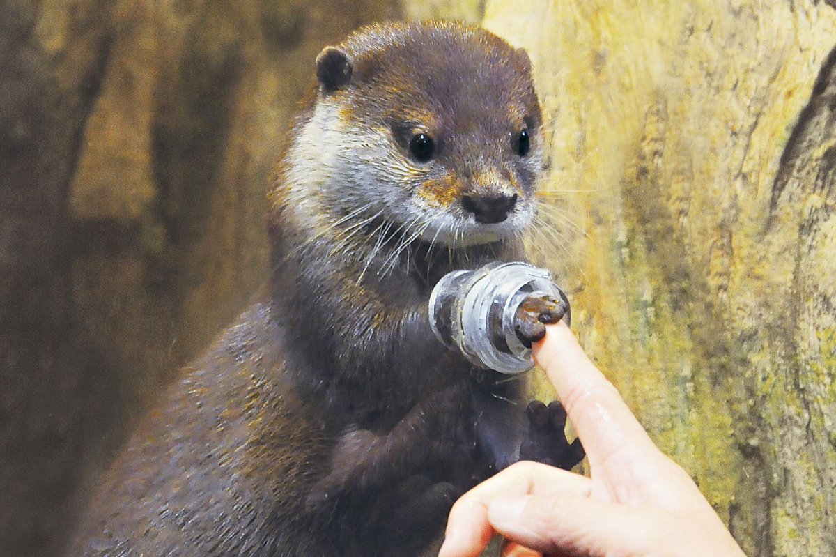 うわぁいいなぁ🥰