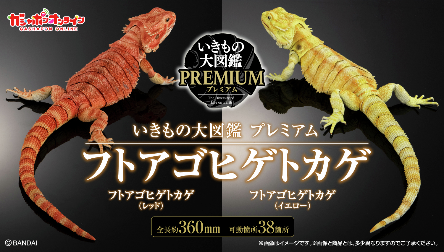 いきもの大図鑑プレミアムフトアゴヒゲトカゲレッド&イエローセット