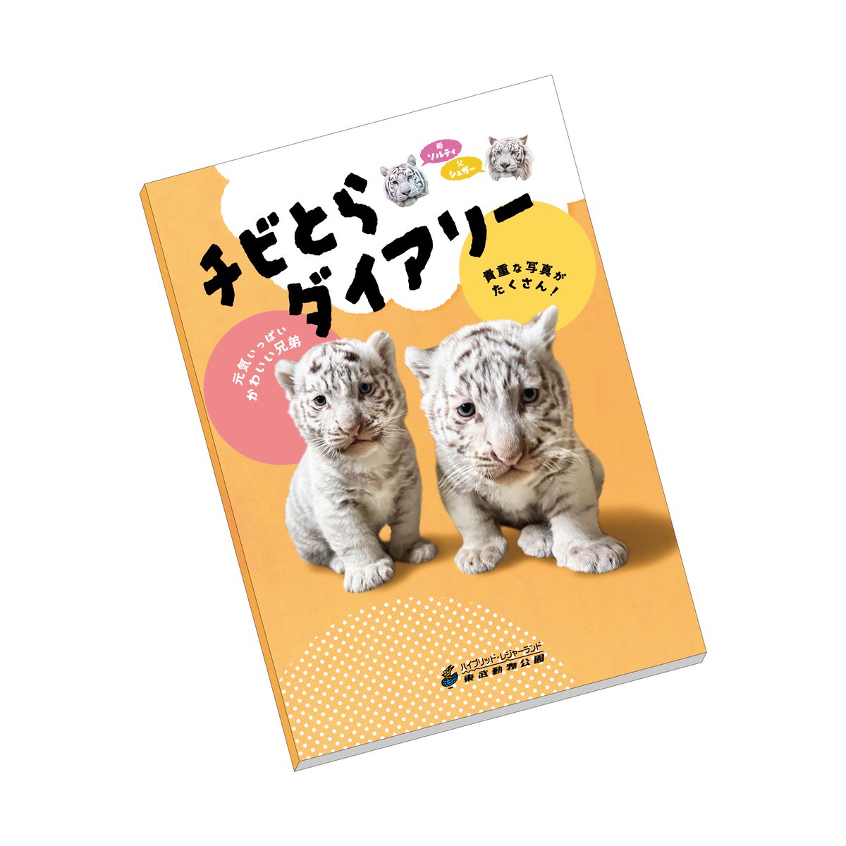 明日、2025年4月26日（土）より、チビとらたちのフォトブック「チビ