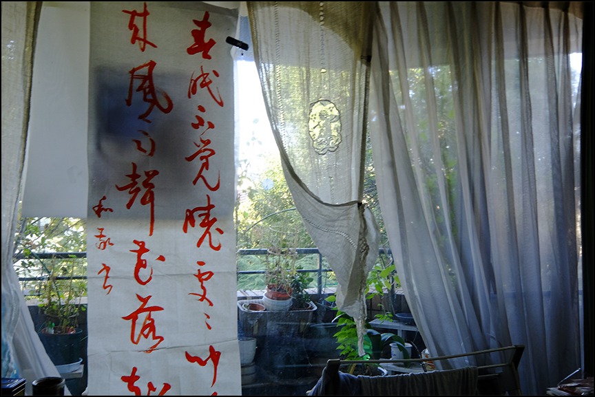 初めての半切の書、孟浩然の五言絶句「春暁」をながめて : 生きる歓び