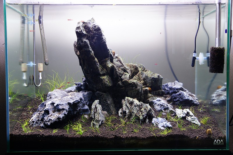 2[新品]ADA 龍王石6.5キロ☆水槽 レイアウト 清流石 青龍石 親石