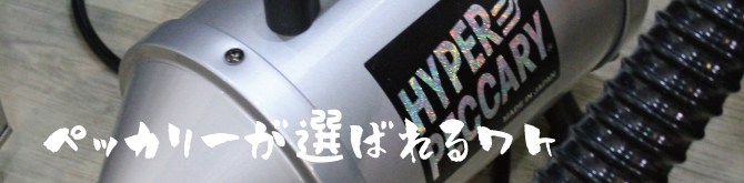 ドラゴンペッカリー スタンダードホース付 イオン付き 温風ヒーター