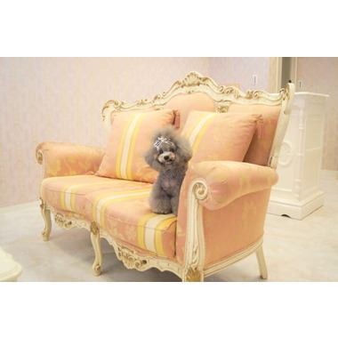 DOGSALON Bow!Wow! 生駒店｜奈良県生駒市｜EPARKペットライフ